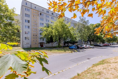 foto04_11527659_15uug8.jpg