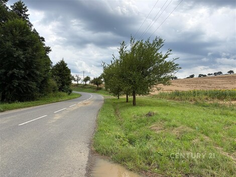 foto04_11544724_1wyy4.jpg