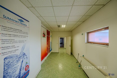 foto04_11555786_1awx5o.jpg