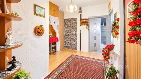 foto04_11567653_nstak.jpg