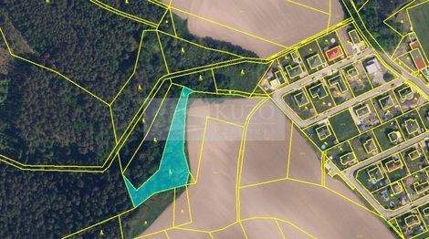 foto16_11456296_73512.jpg