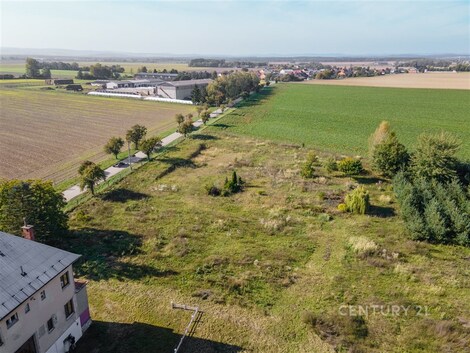 foto04_11181910_t7d88.jpg