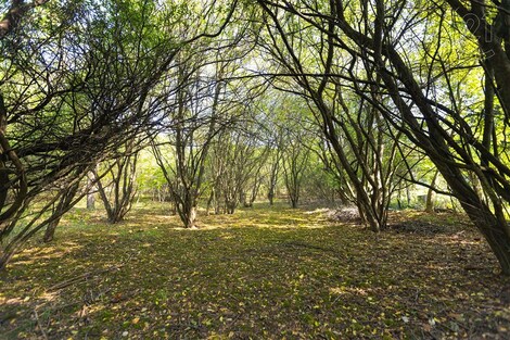 foto04_11320174_1mv1sw.jpg