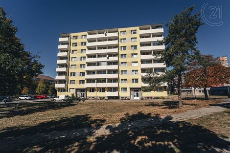 foto04_11378548_j4zjs.jpg