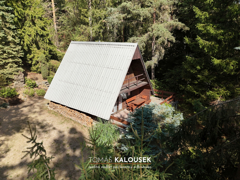 foto16_11546897_62641.jpg