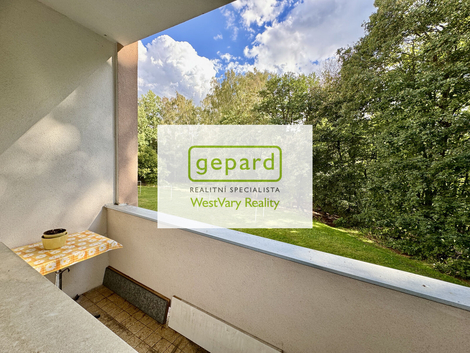 foto16_11548203_16065.jpg