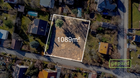 foto16_11552243_46857.jpg