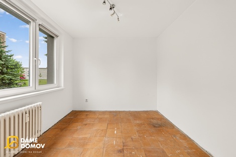 foto05_11499273_3cba2.jpg