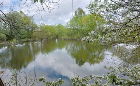 foto05_11330279_2qgts.jpg