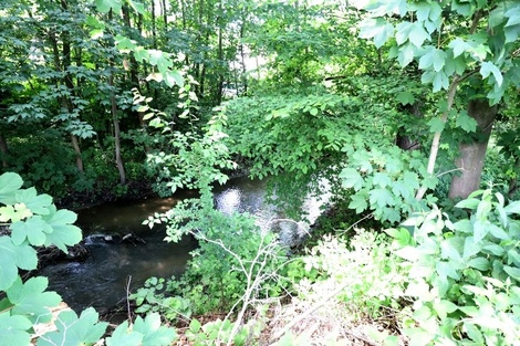 foto05_11340689_mbk.jpg