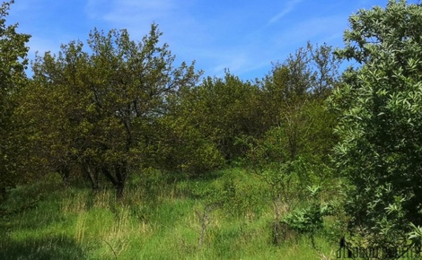 foto05_11353520_5qmlc.jpg