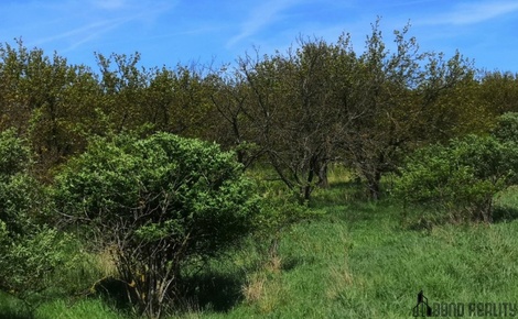 foto05_11353520_msri.jpg