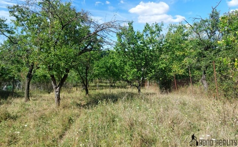 foto05_11372609_6ejb4.jpg