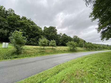 foto02_11497217_17hi98.jpg