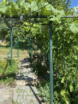 foto02_11512597_8tyj0.jpg