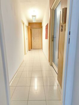 foto02_11512600_11z3a0.jpg