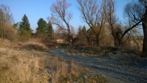 foto02_11518358_savjw.jpg
