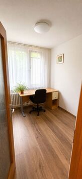 foto02_11528768_1y0og.jpg