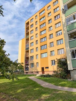 foto02_11529276_syzoo.jpg