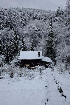 foto02_11533864_8vvl4.jpg
