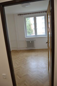 foto02_11537870_10afpo.jpg