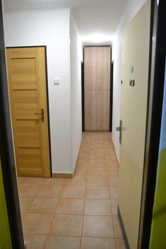 foto02_11537870_azav4.jpg