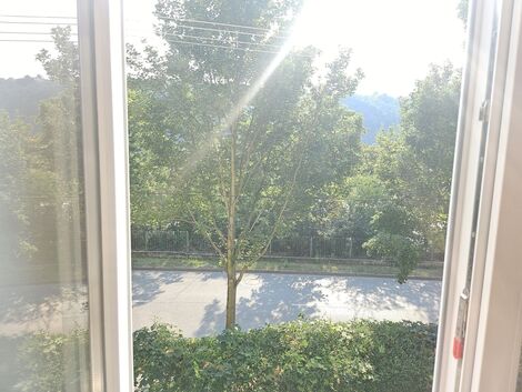 foto02_11541659_8zjj4.jpg