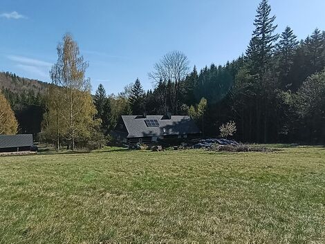 foto02_11551817_12i6s0.jpg