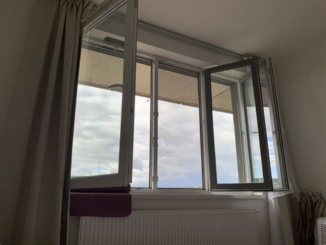 foto02_11551819_i9ves.jpg