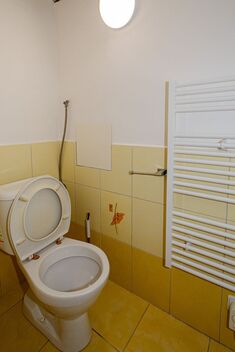 foto02_11558321_1b37s.jpg