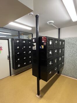 foto02_11559000_j0lzk.jpg