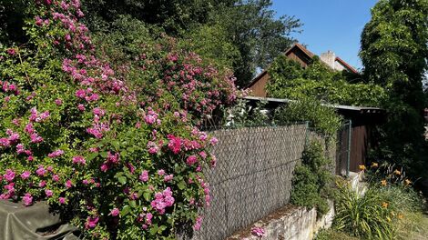 foto02_11559660_n5iek.jpg