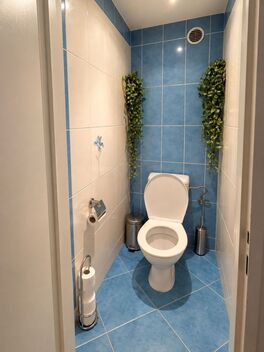 foto02_11561946_gqr2o.jpg