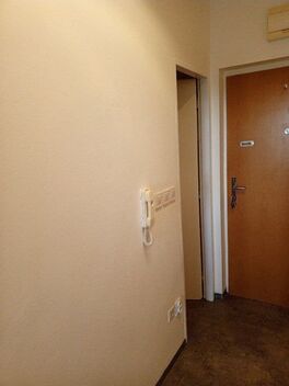 foto02_11565158_a8qb0.jpg