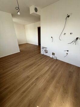 foto02_11565160_ryi6k.jpg