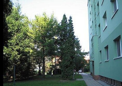 foto02_11570485_1ffw7k.jpg
