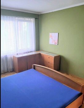 foto02_11570485_osqi4.jpg