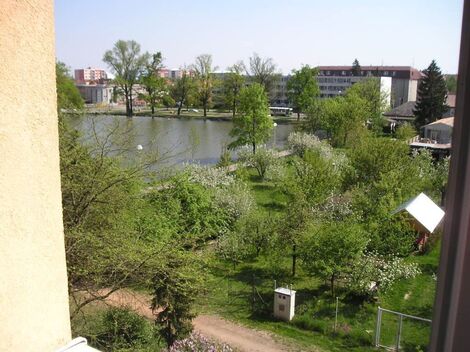 foto02_11571094_c8gmw.jpg
