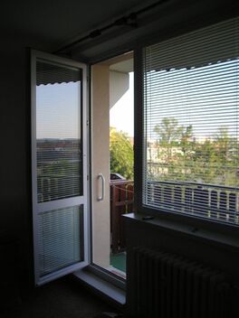 foto02_11571094_hv4s.jpg