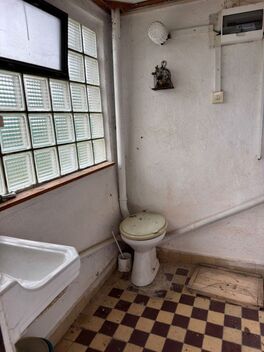 foto02_11571678_1fhxcw.jpg