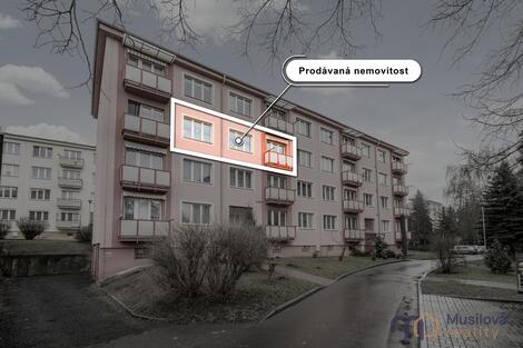 foto02_11457593_17fyus.jpg