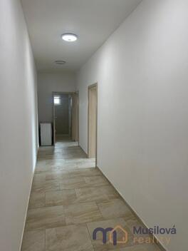 foto02_11514211_x7evk.jpg