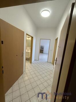 foto02_11519920_13zkjc.jpg