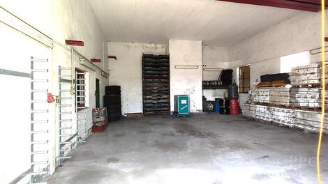 foto02_11568033_1abksk.jpg
