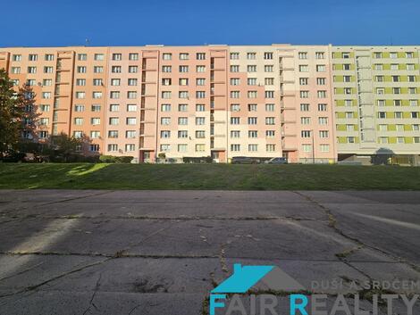 foto02_11554805_l2fbg.jpg