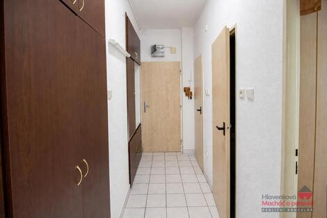 foto02_11531789_gzbn0.jpg