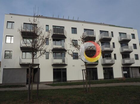 foto02_11466700_vvw2o.jpg