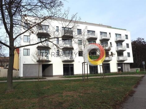 foto02_11539531_1naqjg.jpg