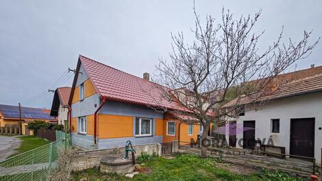 foto02_11517251_qvpvw.jpg