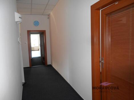foto02_11541663_y3t8g.jpg